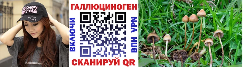 где найти   Нижняя Салда  Галлюциногенные грибы MAGIC MUSHROOMS 